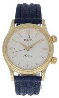 Delma 1995 37.5mm Yellow gold Champagne