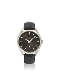 Omega Aqua Terra 231.13.49.10.06.001 49mm Stainless steel Gray