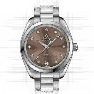 Omega Seamaster 220.10.34.20.63.001 Stainless steel Braun