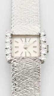 Juvenia White gold Silver