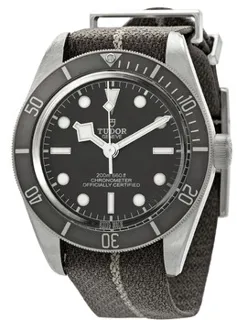 Tudor Black Bay M79010SG-0002 Silver Beige