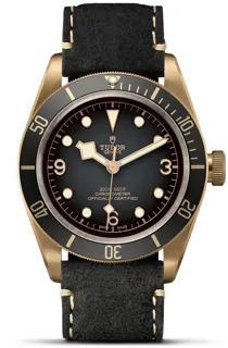 Tudor Black Bay 79250BA Bronze Gray