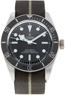 Tudor Black Bay M79010SG-0002 Silver Beige