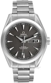 Omega Aqua Terra 231.10.43.22.06.001 43mm Stainless steel Gray