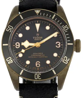 Tudor Black Bay 79250BA 43mm Bronze Gray