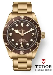 Tudor Black Bay M79012M-0001 39mm Bronze Brown