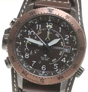 Citizen Promaster Land J280-R013572/BN4055-35W 46mm Titanium Brown