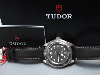 Tudor Black Bay 58 79010SG-0001 39mm Silver Gray