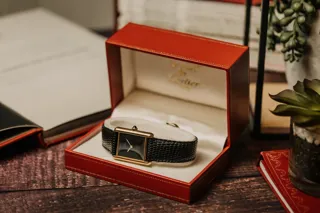 Cartier Must de Cartier Tank Must De Cartier Silver Black