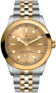 Tudor Black Bay M79663-0005 39mm Stainless steel Golden