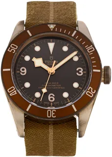 Tudor Heritage Black Bay M79250BM-0004 43mm Bronze Brown