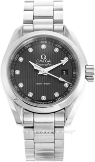 Omega Aqua Terra 231.10.30.60.56.001 Stainless steel Gray