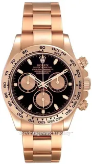 Rolex Daytona 116505-0008 Everose gold Black and Pink