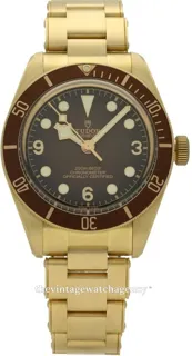 Tudor Black Bay M79012M-0001 Bronze Brown