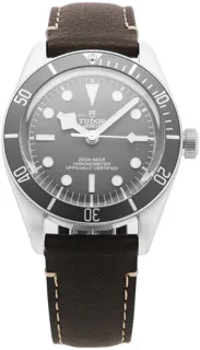 Tudor Black Bay M79010SG-0001 Silver Beige