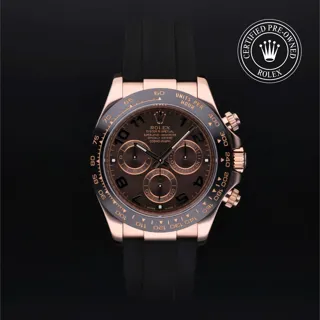 Rolex Daytona 116515LN-0015 Ceramic and Rose gold Brown