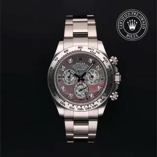 Rolex Daytona 116509 White gold Black