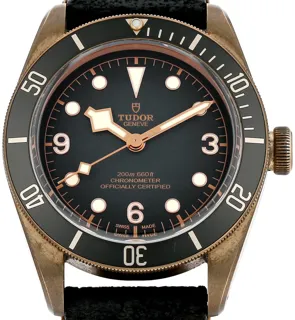 Tudor Black Bay 79250BA Bronze Gray