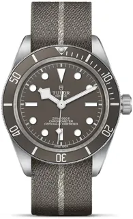 Tudor Black Bay M79010SG-0002 Silver Beige