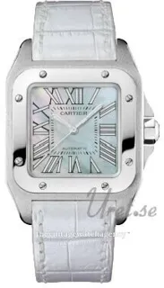 Cartier Santos Demoiselle W20132X8 Stainless steel Green