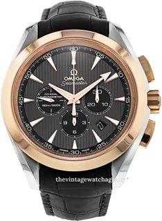 Omega Aqua Terra 231.23.44.50.06.001 Stainless steel and Red gold Gray