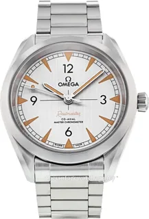 Omega Railmaster 220.10.40.20.06.001 Stainless steel Gray