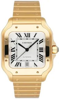 Cartier Santos WGSA0029 Yellow gold Silver