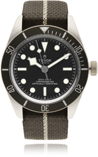 Tudor Black Bay 58 79010SG 39mm Silver Grey