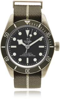 Tudor Black Bay 58 79010SG 39mm Silver Grey