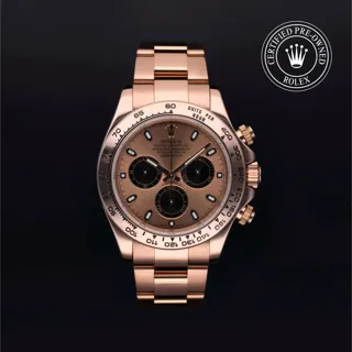 Rolex Daytona 116505 40mm Everose gold Rose