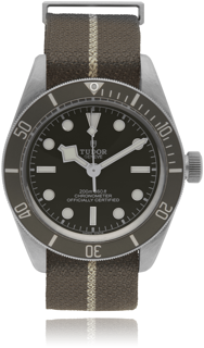 Tudor Black Bay 58 79010SG Silver Grey