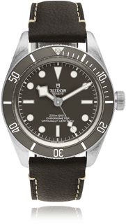 Tudor Black Bay 79010S Silver Grey