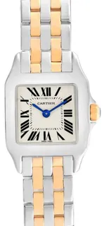 Cartier Santos Demoiselle W25066Z6 20mm Stainless steel White