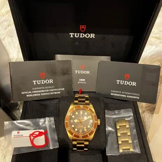 Tudor Black Bay M79012M-0001 39mm Bronze Brown