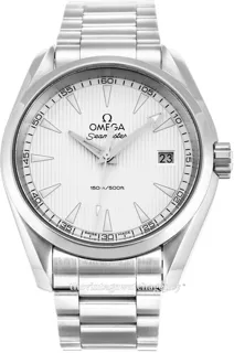 Omega Aqua Terra 231.10.39.60.02.001 Stainless steel Silver