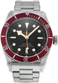 Tudor Heritage M79230R-0003 41mm Brushed/polished steel Black