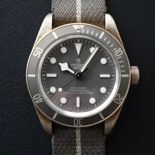 Tudor Black Bay M79010SG-0002 39mm Silver Beige