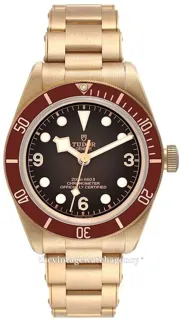 Tudor Black Bay M79012M-0001 39mm Bronze Brown