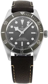 Tudor Black Bay M79010SG-0001 Silver Beige