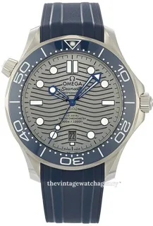 Omega Seamaster Diver 300M 210.32.42.20.06.001 Stainless steel Gray