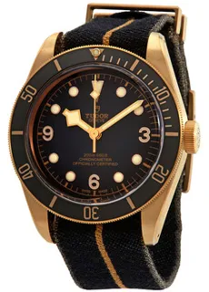 Tudor Black Bay 79250BA-0002 Bronze and Stainless steel Gray