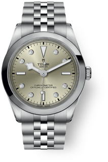 Tudor Black Bay M79640-0006 Stainless steel Beige