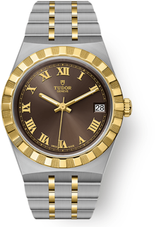 Tudor Tudor Royal M28403-0008 Stainless steel Brown