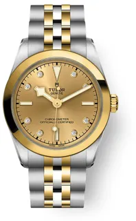 Tudor Black Bay M79603-0008 Stainless steel Golden