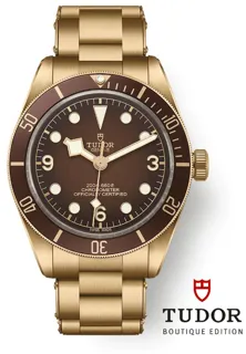 Tudor Black Bay M79012M-0001 Bronze Brown