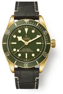 Tudor Black Bay M79018V-0001 39mm Yellow gold Green