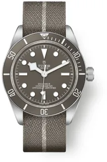 Tudor Black Bay M79010SG-0002 39mm Silver Beige