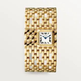 Cartier Panthère de Cartier WGPN0018 22mm Yellow gold Silver