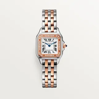 Cartier Panthère W3PN0009 22mm Rose gold Silver