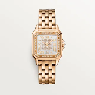 Cartier Panthère WJPN0041 Rose gold Silver Sunray